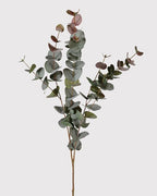Large Natural Blush Eucalyptus Spray