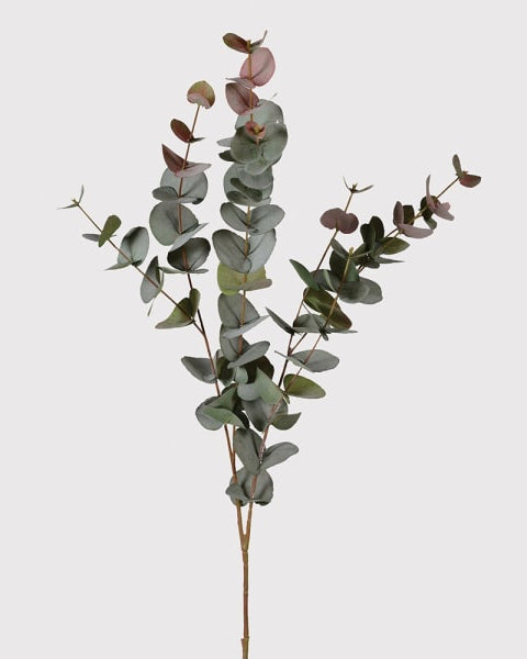 Large Natural Blush Eucalyptus Spray