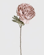 Pink Peony Spray with Leaves