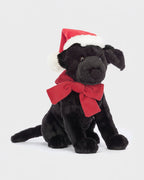 Pippa Black Labrador