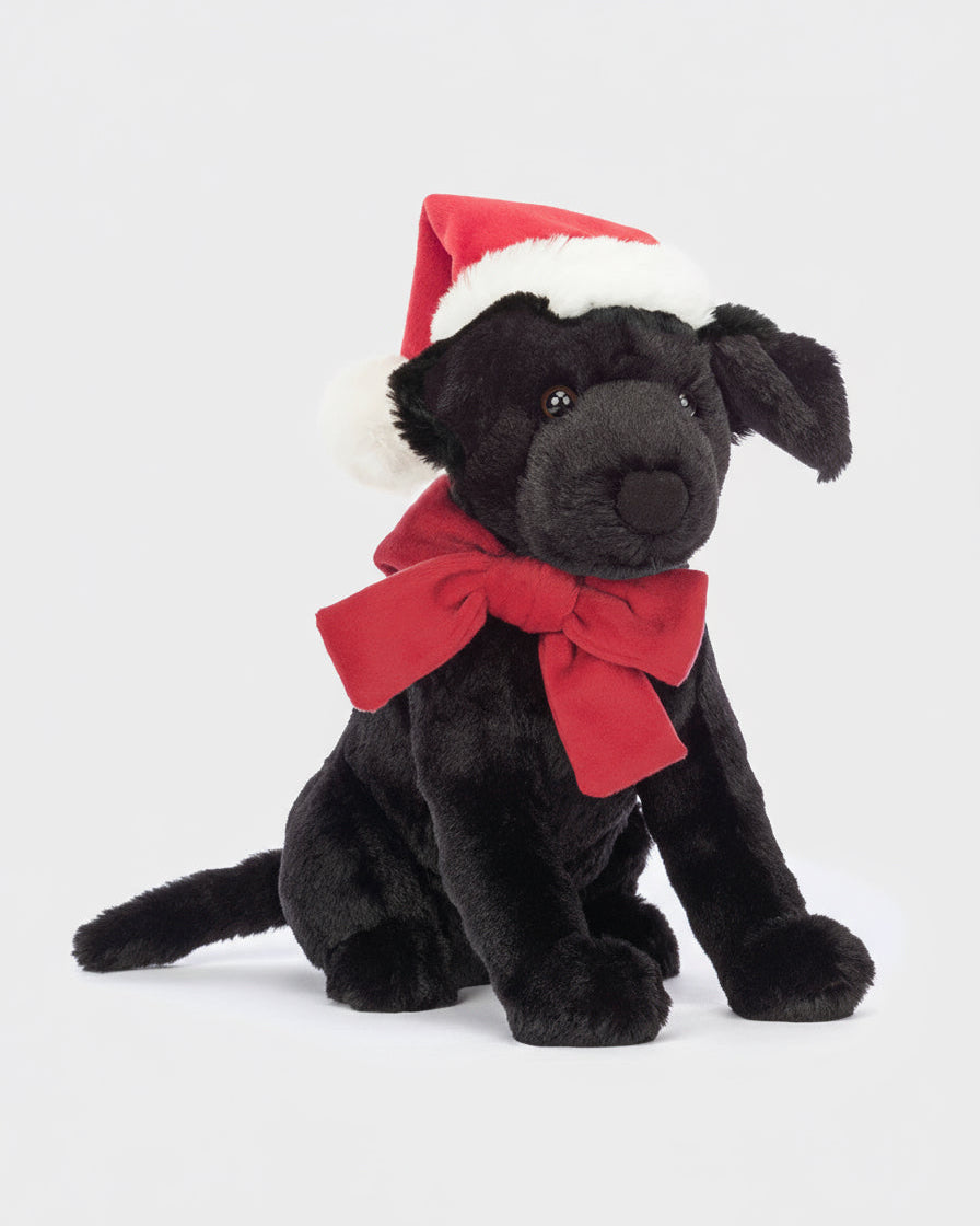 Pippa Black Labrador