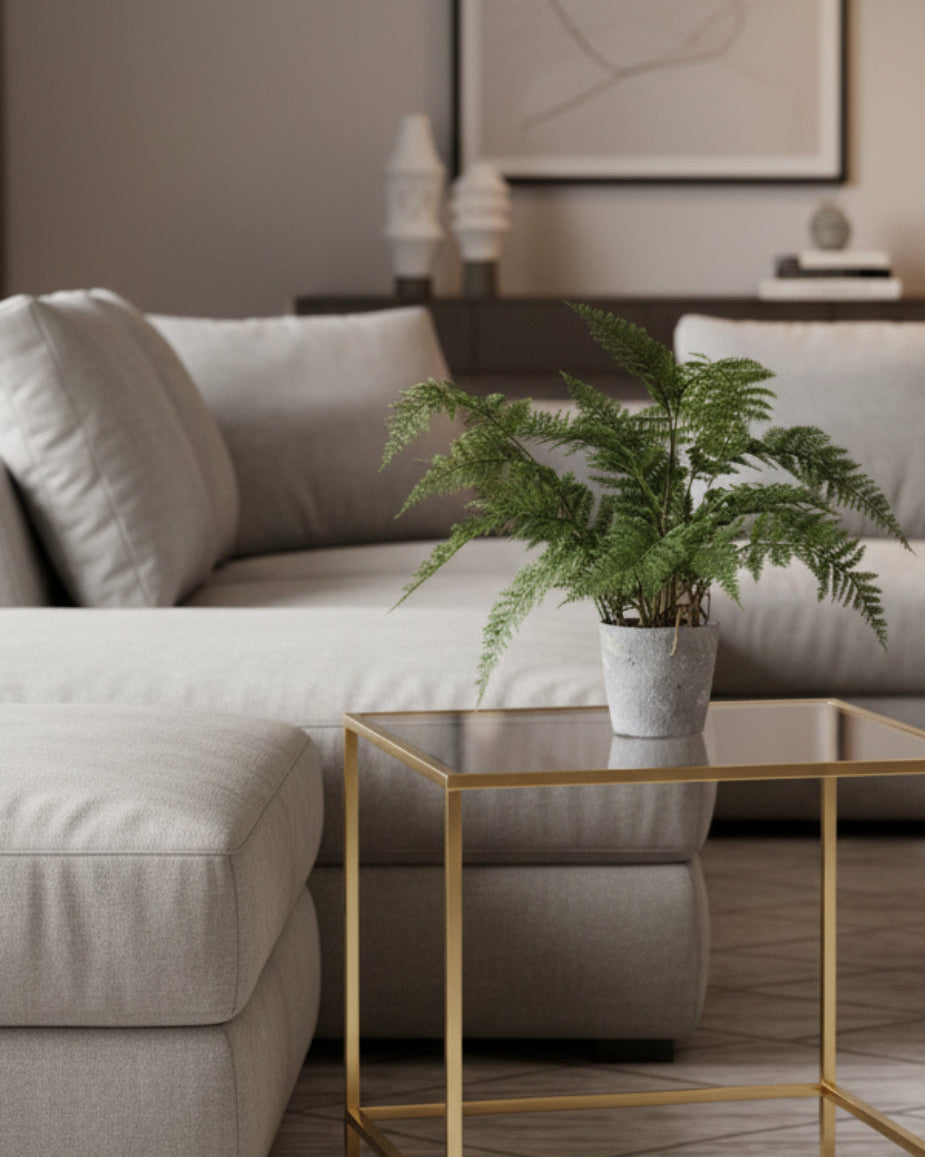 Bracken Fern Plant in Grey Cement Pot