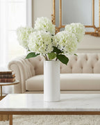 White Paniculata Grandiflora Hydrangea