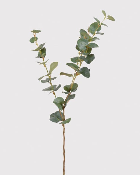 Natural Eucalyptus Spray