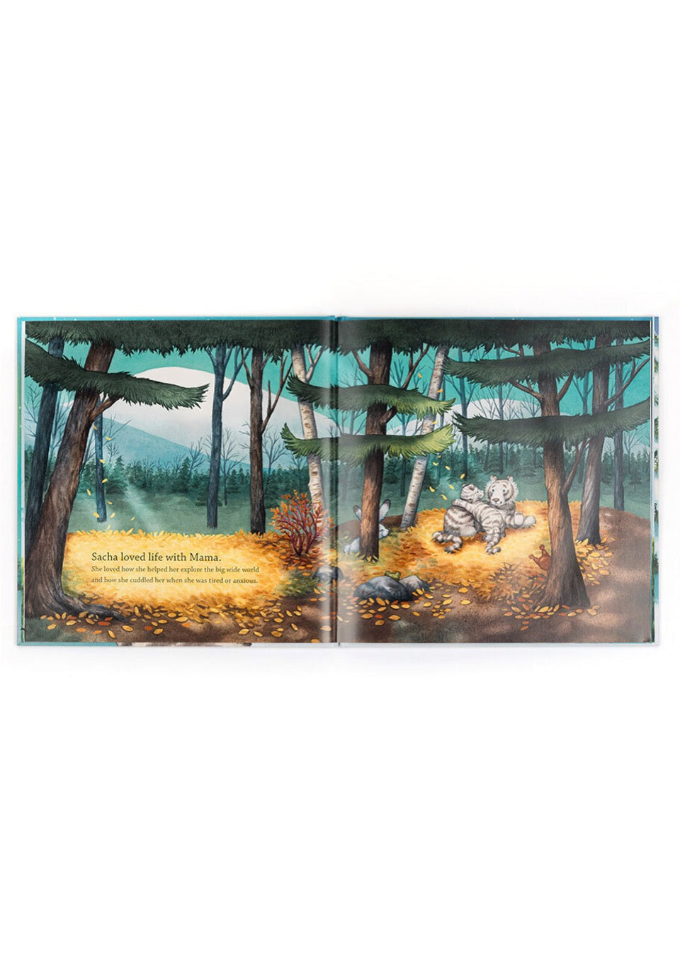 Sacha and the most Wonderful Thing Book