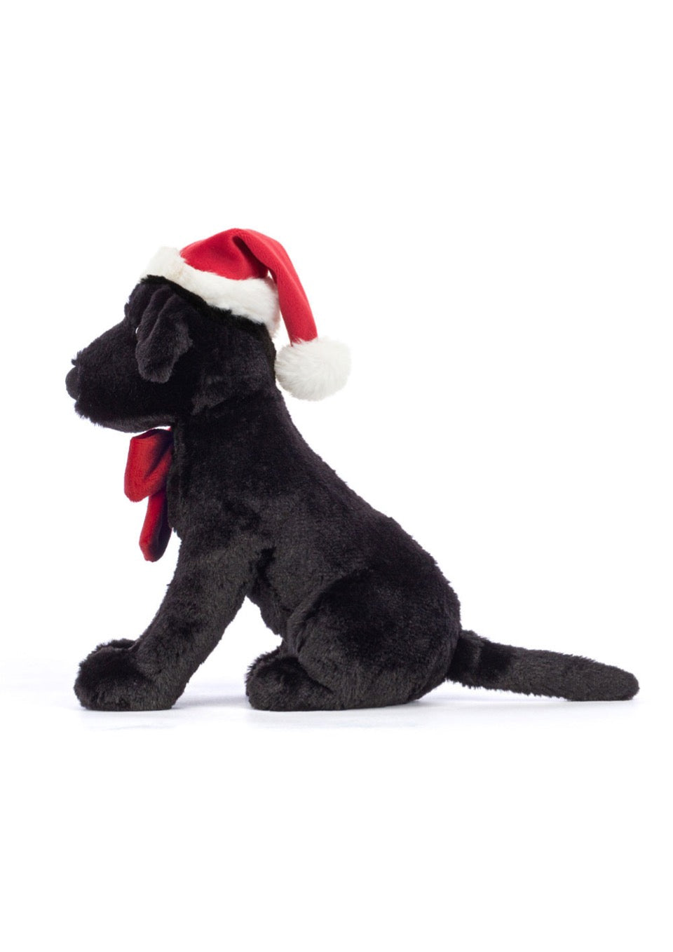 Pippa Black Labrador