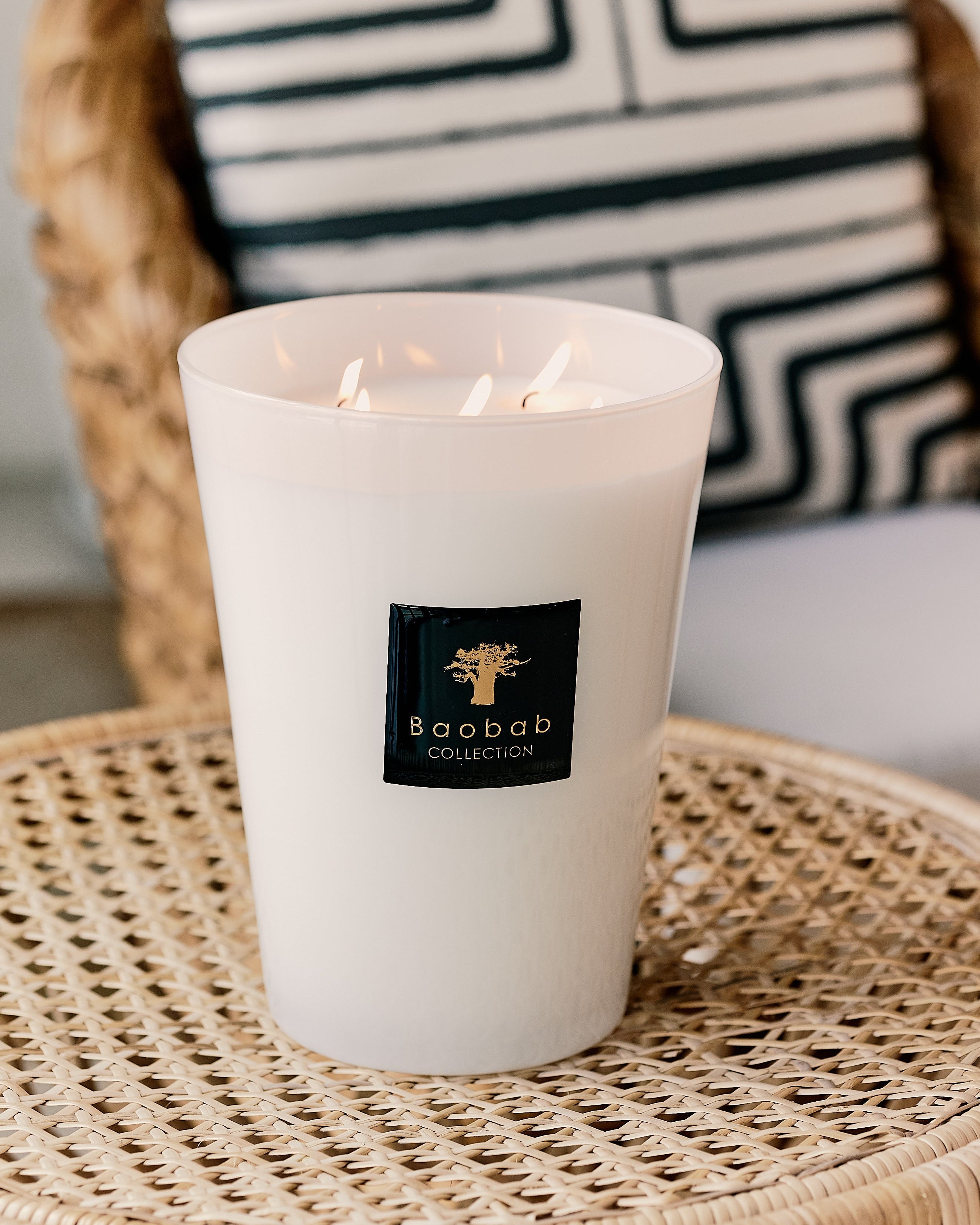 Baobab Pierre De Lune