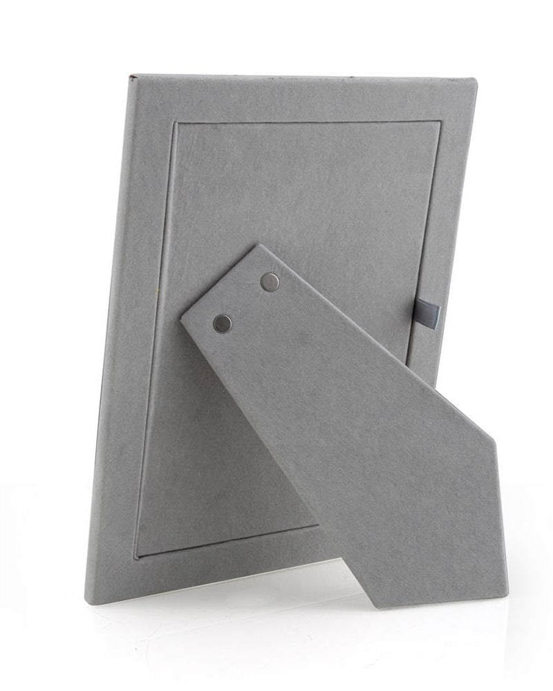 5x7 Ostrich & Silver Frame