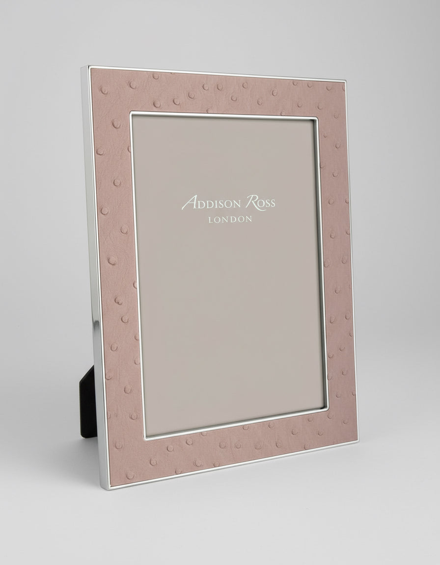 5x7 Ostrich & Silver Frame