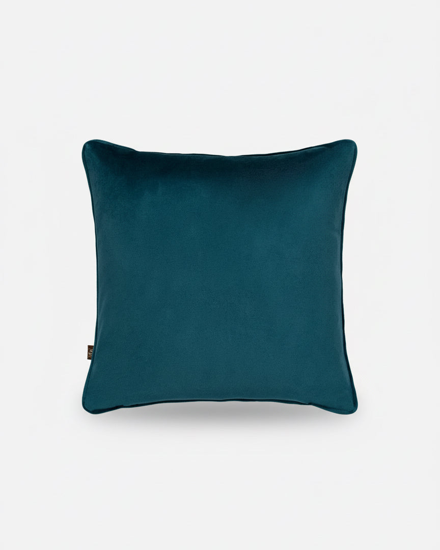 Avianna Green/Teal Cushion