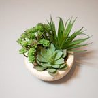 Assorted Green Succulents Arranged in Grey Cement Bowl