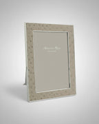 5x7 Ostrich & Silver Frame