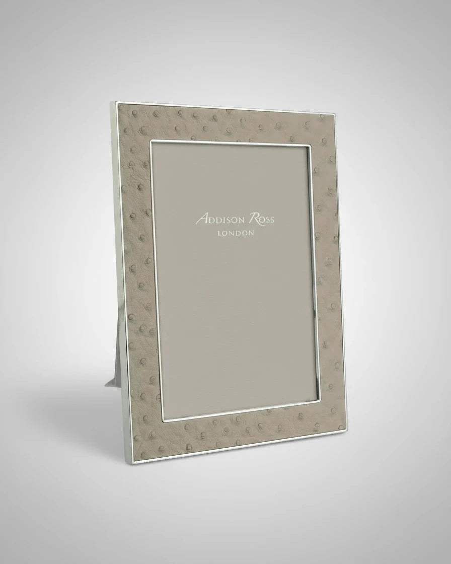 5x7 Ostrich & Silver Frame
